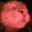 :catjam: