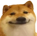 :dogO: