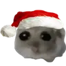 :xoh: