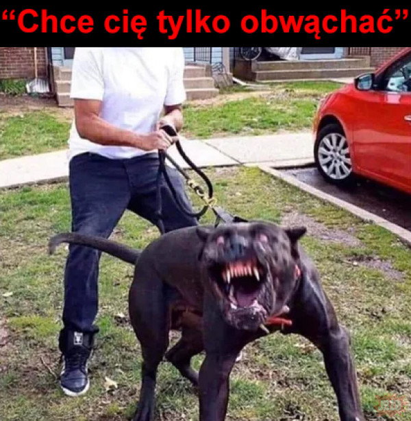 image.png.5d465465eb00b2b3dddbaedbb1be1e01.png